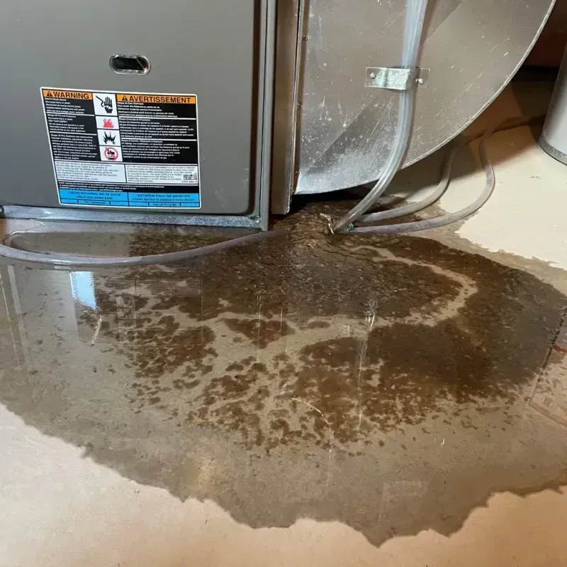 Appliance Leak Cleanup in Goodlettsville, TN